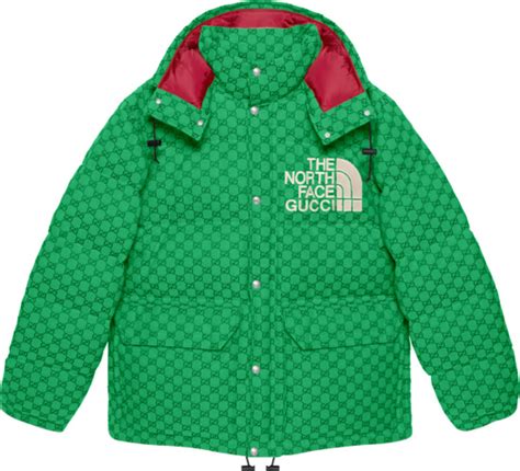 the north face x gucci doudoune|the north face gucci price.